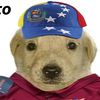 panchocs23