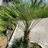 user2095948001865