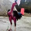hoangvv94