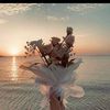 fayrouzamr22