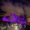 truongquynhgiao07