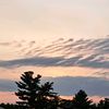 alexis_0801666