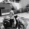 m_pdli