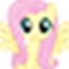 hooni_zhg