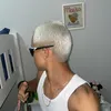 sardelicia