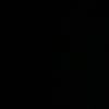 _nicole_596