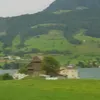 rezaabbassi0