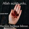 unut331