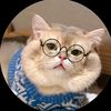 likiybot.12