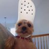 wigsrobloxs