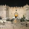 heba_saudi
