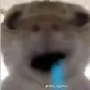 Đm chúng m