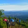 robi_darwis33