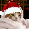 nam_cancel