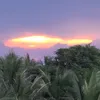 binhminh290
