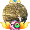slmsung16