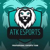 atk_esports132