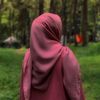 pipittputri