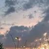 tamii_0802