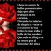 guilledemarcos0