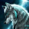 lonewolf26220