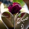 user660570103219