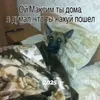 nepuchay