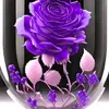 user1077358019025