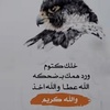 nawaf511_511