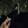 xyzin480