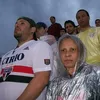 michelrodrigues391