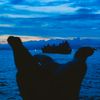 b7_rya