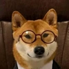 dogicoin