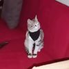 manchitas12578
