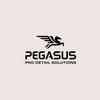 pegasusprodetail