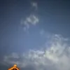 elvyo0