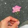 _haang_10