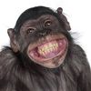 monkey.smiling