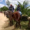 garroteflorencio