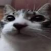 i_dont_know_a_username_4
