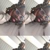 femsgotmyheart4l