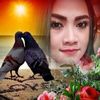 annez488