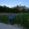 kai_4341