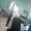 mytiendth_
