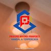 pdpro.official