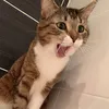 karina_mandarina13