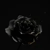 tunguyen0369