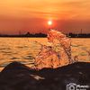 terrisphotography21