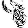 nenorron5