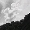 fan_de_musique21